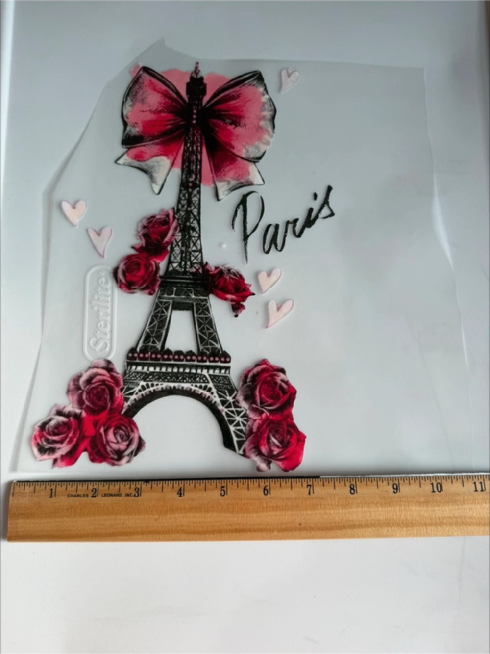Paris Eiffel Tower Transfer in Pink and Black